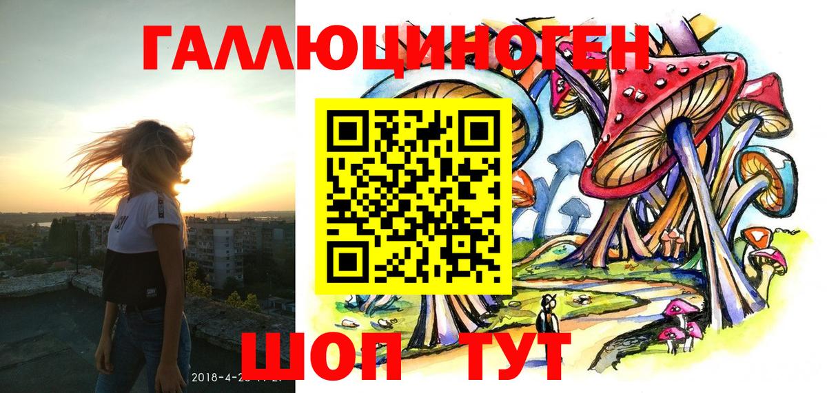 Псилоцибиновые грибы Cubensis Похвистнево