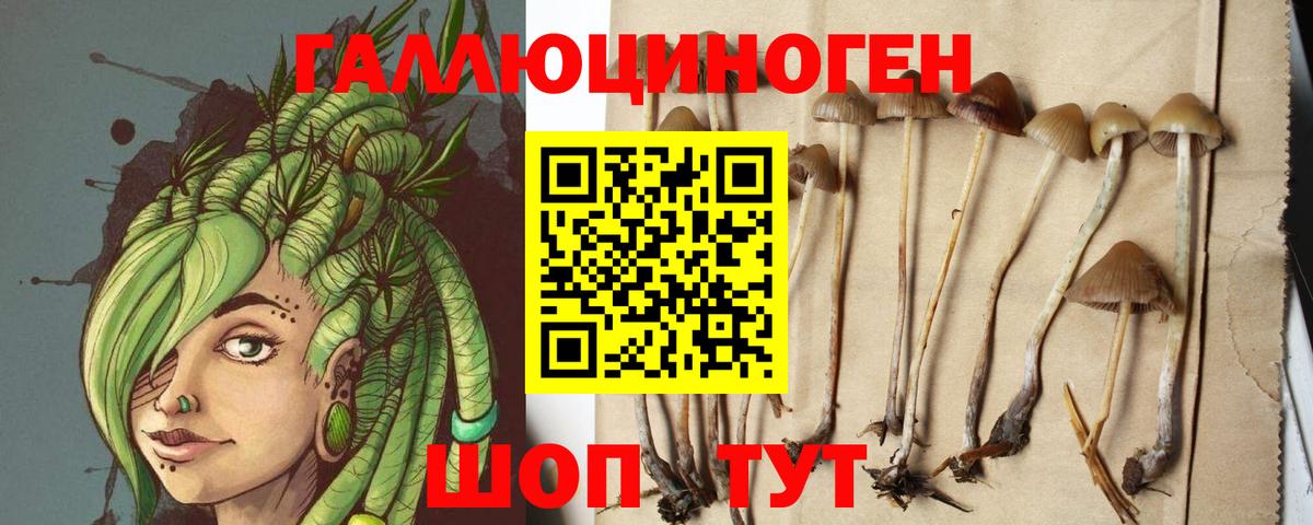 Псилоцибиновые грибы Magic Shrooms  закладки  Вход с VPN  Похвистнево  Галлюциногенные грибы GOLDEN TEACHER 